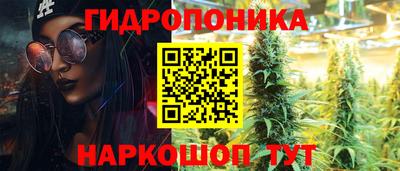 крисы Чебоксары