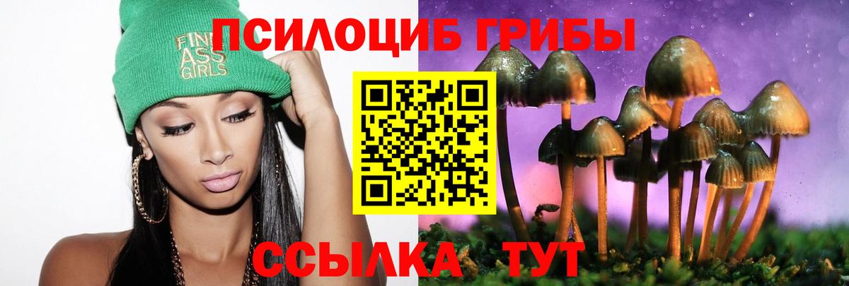 Галлюциногенные грибы прущие грибы Воркута