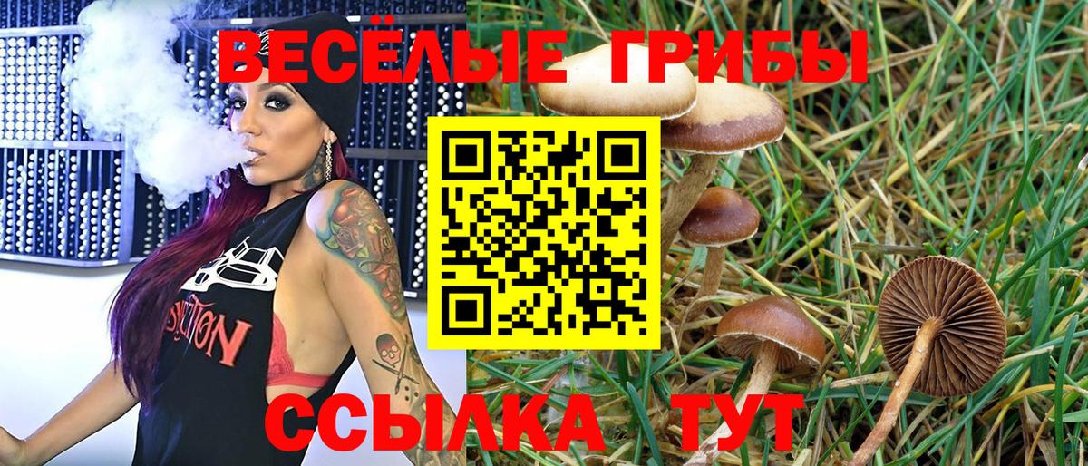 Псилоцибиновые грибы Magic Shrooms  Вход с VPN  Воркута 
